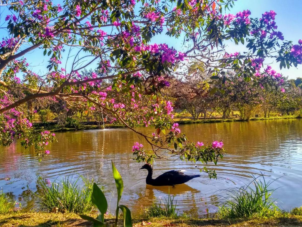 Pousada Chales Do Retiro - Serra Do Cipo Mg 자보티카투바스 외부 사진
